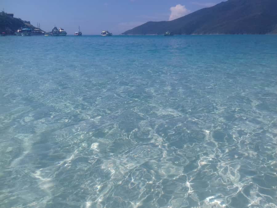 Rio de Janeiro: Arraial do Cabo Scuba Diving Day Trip - Temperature, wetsuits, and how to dress for comfort