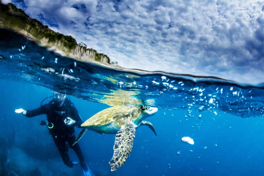 Rio de Janeiro: Arraial do Cabo Scuba Diving Day Trip - Wind, schedule changes, and what to do if the sea won’t cooperate