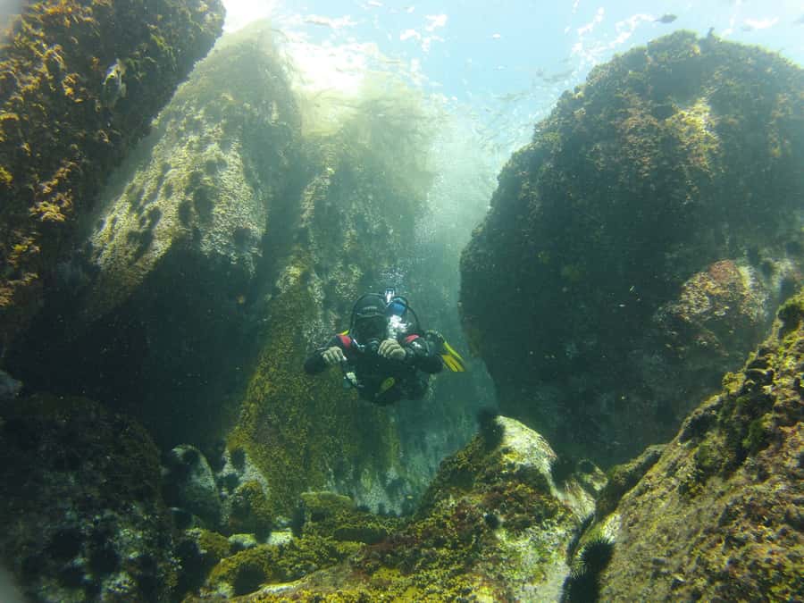 Rio de Janeiro: Arraial do Cabo Scuba Diving Day Trip - Price and value: is $255 a fair deal?