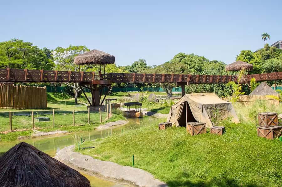 Rio de Janeiro: BioParque Guided Tour with Transfer - Key Things You’ll Notice at BioParque