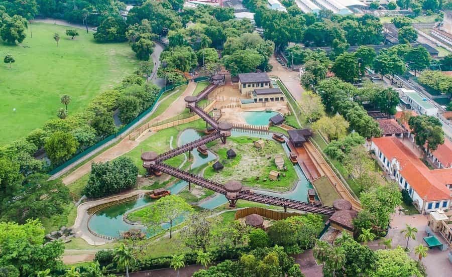 Rio de Janeiro: BioParque Guided Tour with Transfer - The Guided Format: Why Transfer Plus a Live Guide Is Worth It