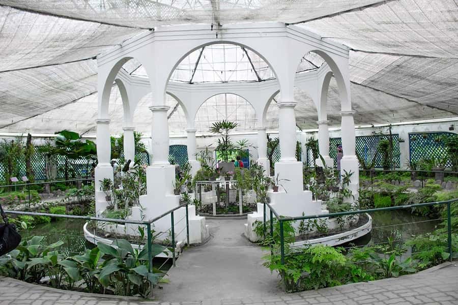Rio de Janeiro: Botanical Garden & Tijuca Forest Guided Tour - Practical Tips for Rio Heat, Bugs, and Photo Stops
