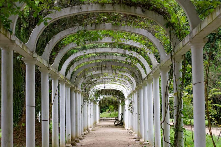 Rio de Janeiro: Botanical Garden & Tijuca Forest Guided Tour - Is This Tour for You? Who Gets the Most Out of It