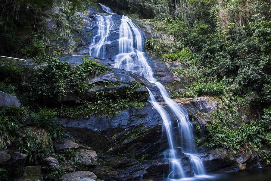 Rio de Janeiro: Botanical Garden & Tijuca Forest Guided Tour - Tijuca Forest by Convertible Jeep: What Makes It Worth It