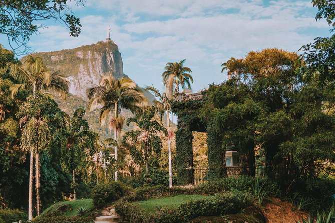 Rio de Janeiro Botanical Garden & Tijuca Forest Tour - A 1 PM Nature Reset in Rio
