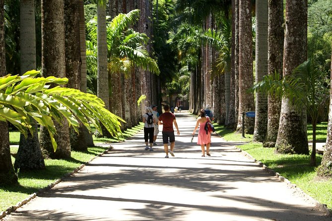 Rio de Janeiro Botanical Garden Tour - Stop-by-stop: your guided walk from royal palms to orchids