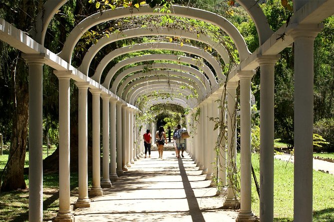 Rio de Janeiro Botanical Garden Tour - Inside the 140-hectare UNESCO biosphere: what the guide focuses on