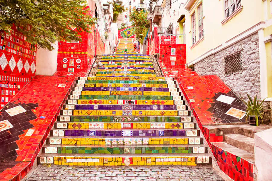 Rio de Janeiro: Christ, Selaron Steps, and Tijuca Park Tour - Park Lage: the rainforest pause inside Tijuca National Park