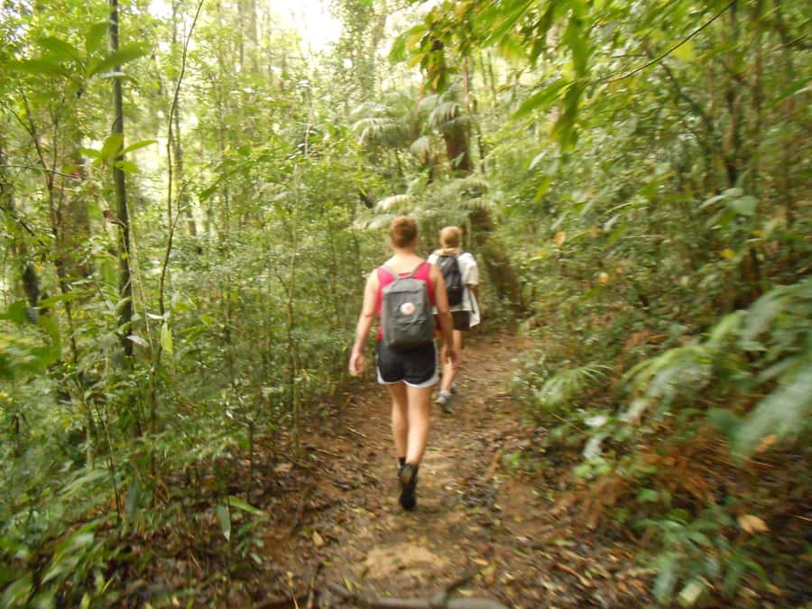 Rio de Janeiro: Christ the Redeemer Guided Hike - Price and value: what your $81 gets you