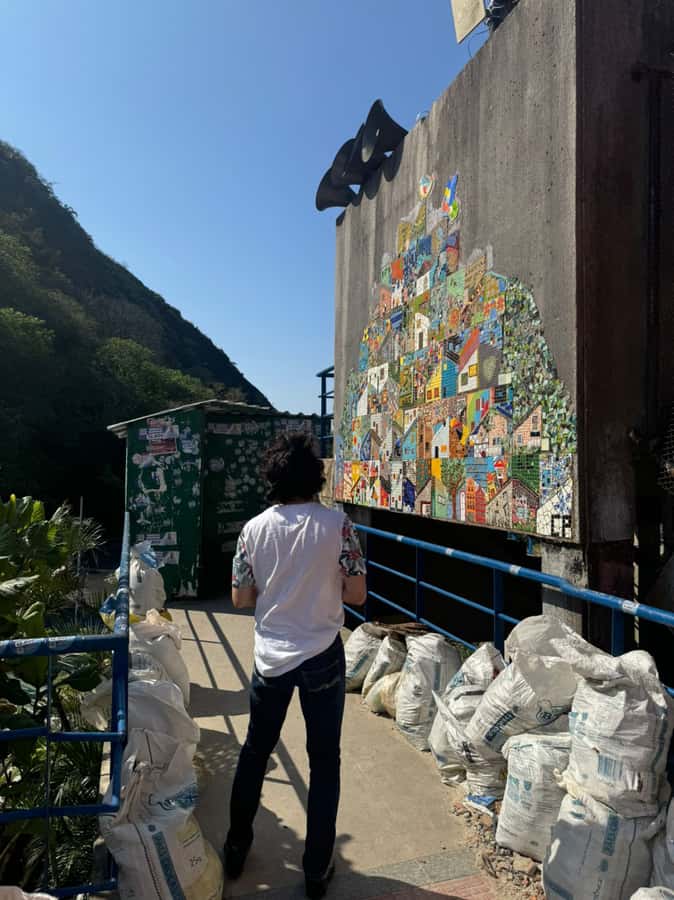 Rio de Janeiro: Favela Santa Marta Top Tour with Local Guide - Price and Value: Why About $28 Can Be a Fair Deal