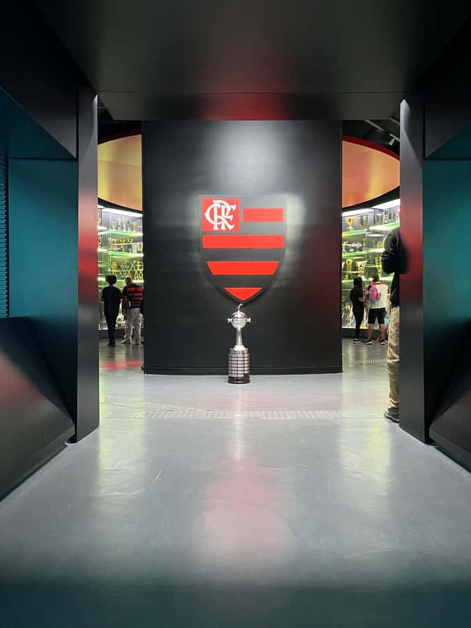 Rio de Janeiro: Flamengo Museum Ticket Entrance - Key things you will notice right away