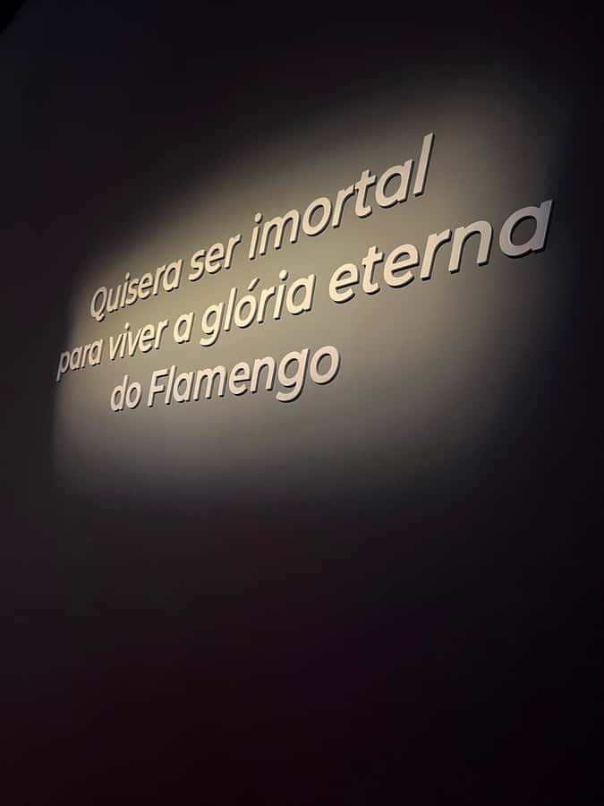 Rio de Janeiro: Flamengo Museum Ticket Entrance - Four floors of trophies and the interactive exhibit design