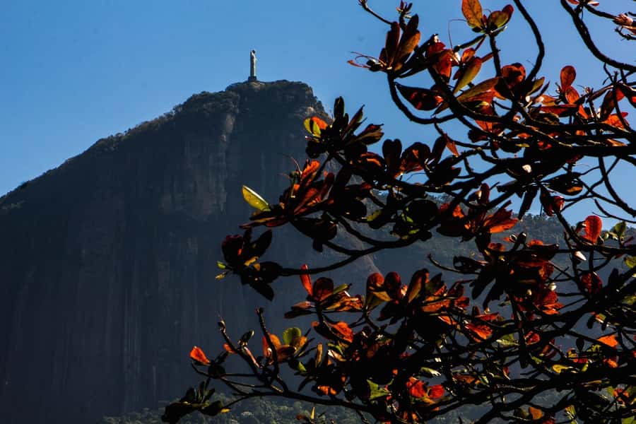 Rio de Janeiro: Guided Bike Tours in Small Groups - Getting the bike and staying comfortable