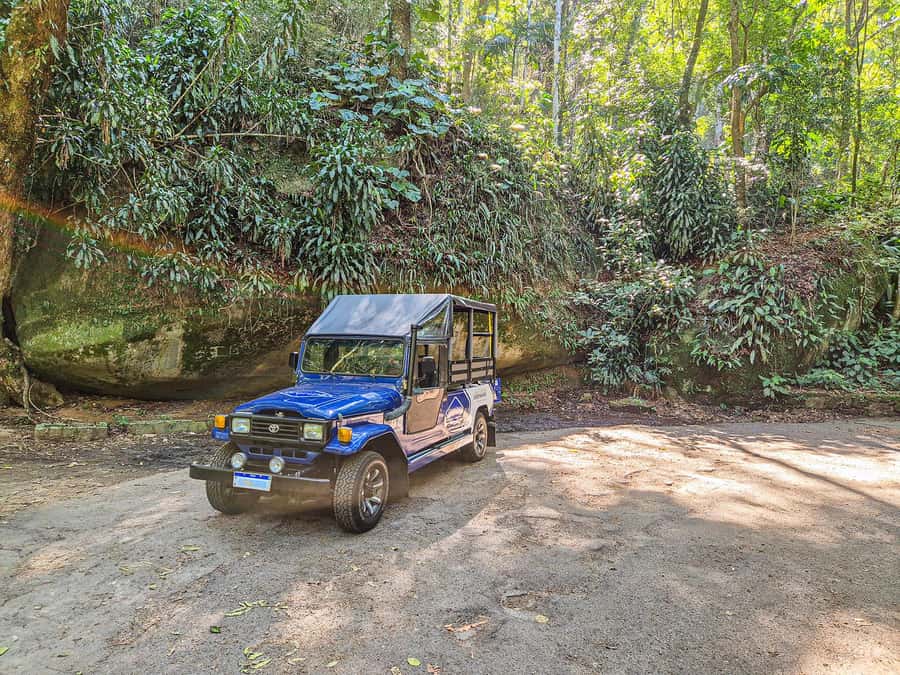 Rio de Janeiro: Guided Jeep Tour through Tijuca Rainforest - Who should book this Tijuca jeep tour, and who might skip it