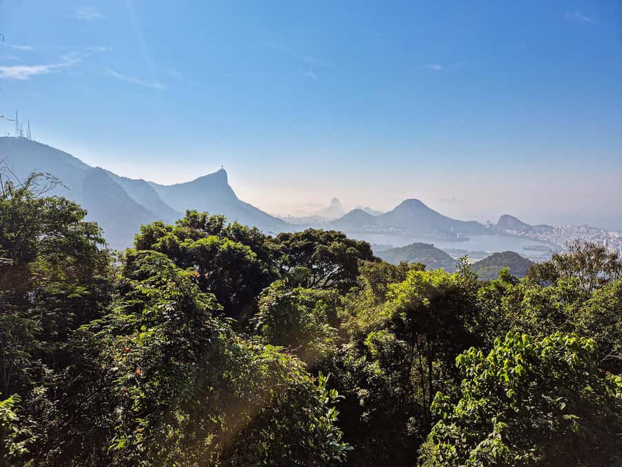 Rio de Janeiro: Guided Jeep Tour through Tijuca Rainforest - The one-hour rainforest hike: what easy really means here