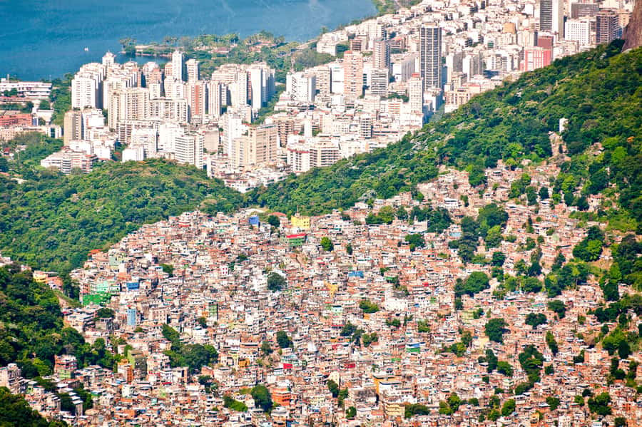 Rio De Janeiro: Half-Day Rocinha Favela Walking Tour - What the Walk Through Rocinha Really Means (Stairs, Narrow Alleys, Comfort)