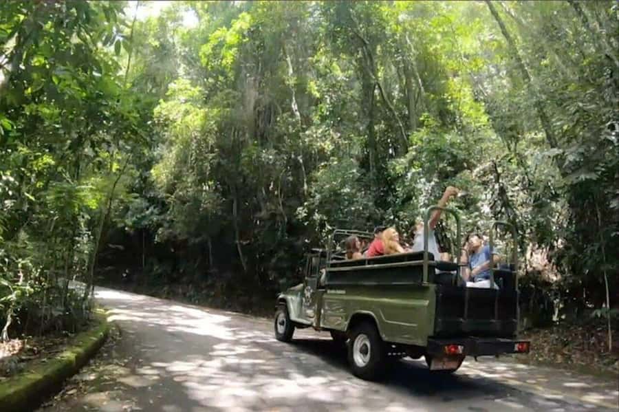 Rio de Janeiro: Jeep Tour Christ the Redeemer + Sugar Loaf - Who Should Book This Tour, and Who Might Want Something Longer