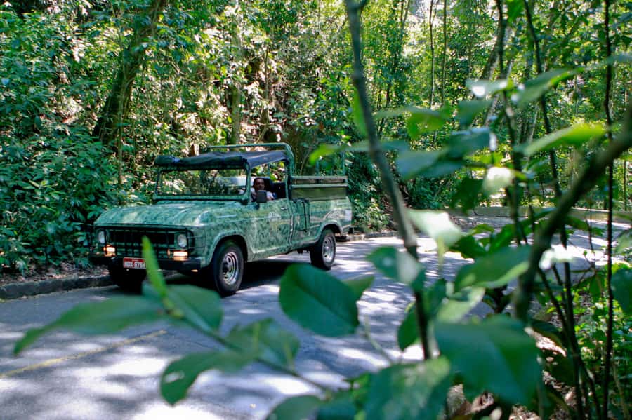 Rio de Janeiro: Jeep Tour in the Tijuca Forest - Safety briefing in the park, then straight to the good viewpoints