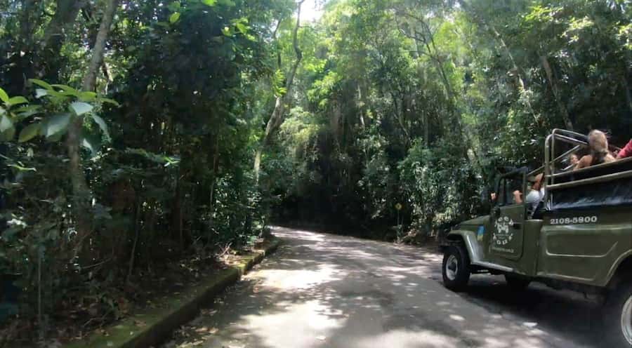 Rio de Janeiro: Jeep Tour in the Tijuca Forest - Vista Chinesa: the photo stop that turns nature into a postcard