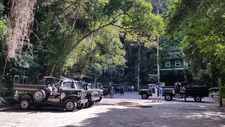 Rio de Janeiro: Jeep Tour in the Tijuca Forest - Alto da Boa Vista: where the guide turns plants into real stories