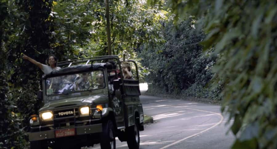 Rio de Janeiro: Jeep Tour in the Tijuca Forest - The 4-hour flow: what happens from pickup to drop-off