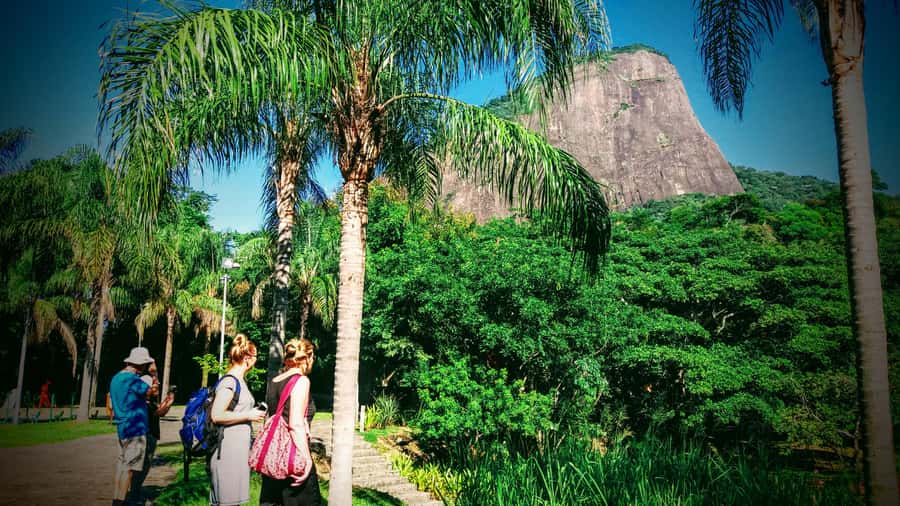 Rio de Janeiro Nature Secrets 'The Eco Citytour' - Dois Irmãos Park: The First Big View of Leblon and Ipanema
