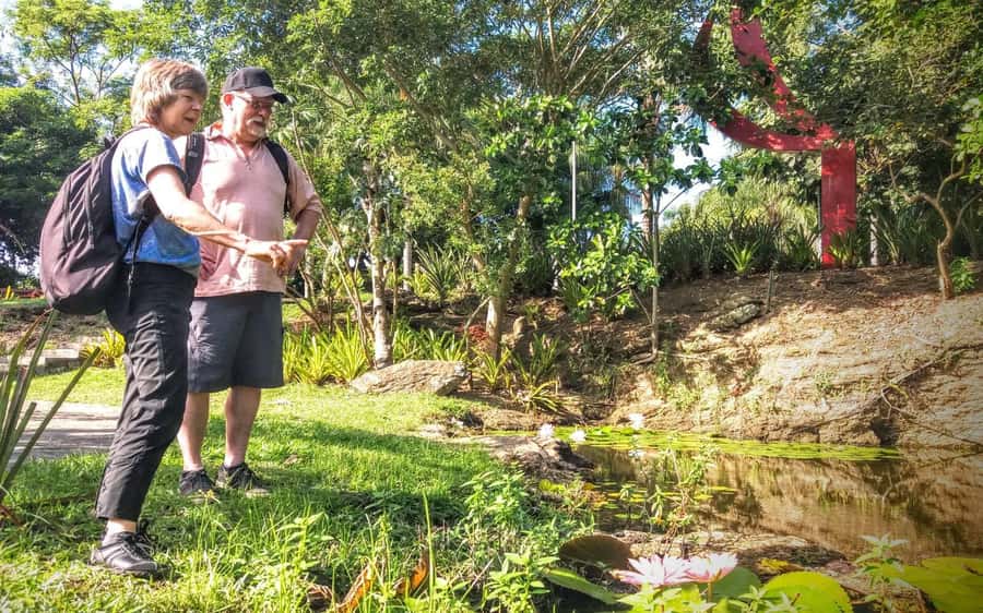 Rio de Janeiro Nature Secrets 'The Eco Citytour' - Marapendi Park Mangroves: Where the Caimans and Capybaras Fit In