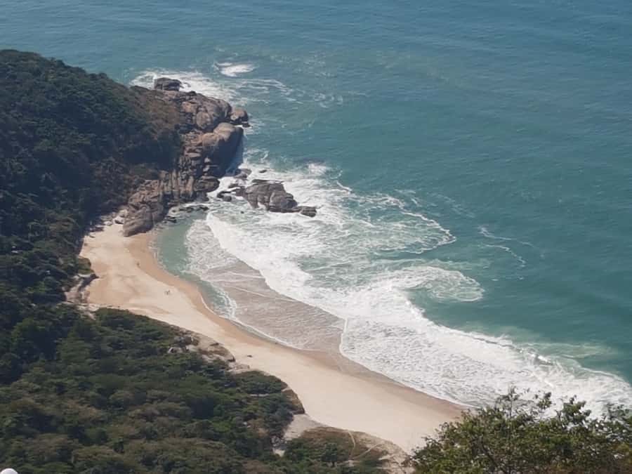 Rio de Janeiro: Pedra do Telegrafo Hike & Grumari Beach Tour - What to bring for a 6-hour hike and beach schedule