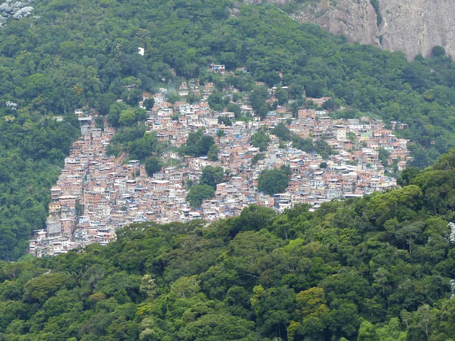 Rio de Janeiro: Private Day Tour with lunch - A well-built 9-hour Rio sampler from Copacabana-area hotels