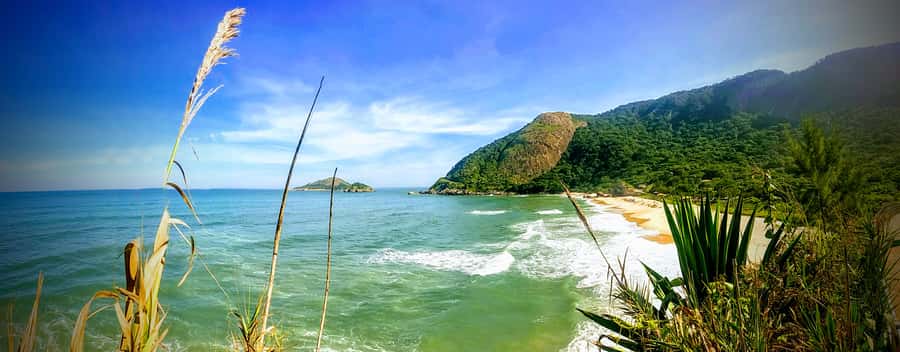 Rio de Janeiro Secluded Beaches: Hike+Swim Prainha & Grumari - Key highlights to plan around