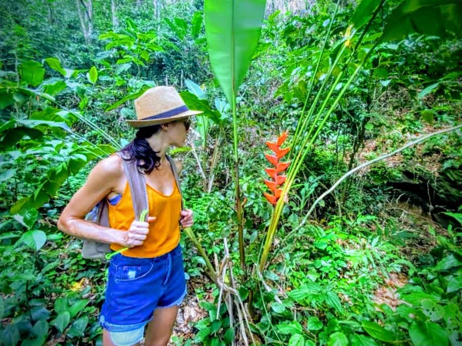 Rio de Janeiro Secluded Beaches: Hike+Swim Prainha & Grumari - West Rio route, South Zone pickup, and why the day feels calmer