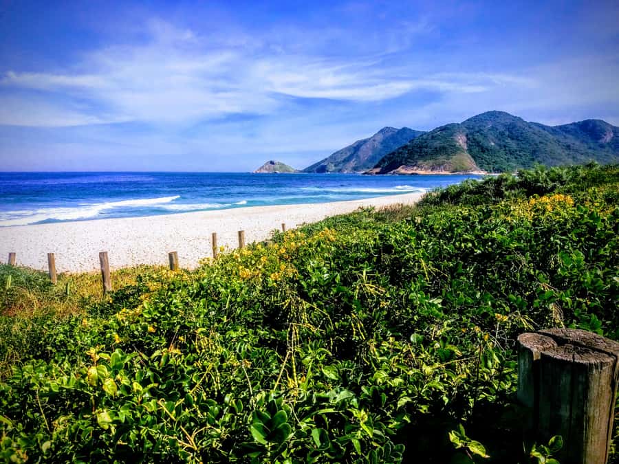 Rio de Janeiro Secluded Beaches: Hike+Swim Prainha & Grumari - Grumari Beach: where the day turns into swimming and simple relaxation
