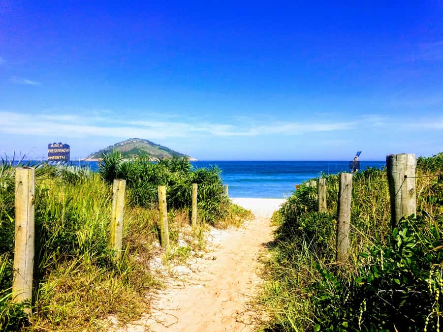 Rio de Janeiro Secluded Beaches: Hike+Swim Prainha & Grumari - Roncador viewpoint and the animal rehab stop inside the natural park