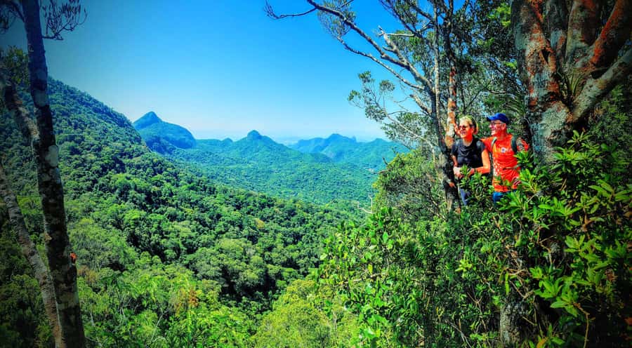 Rio de Janeiro: Tijuca Forest Challenge Hike Full-Day Trip - Value for $86: what you get for the effort