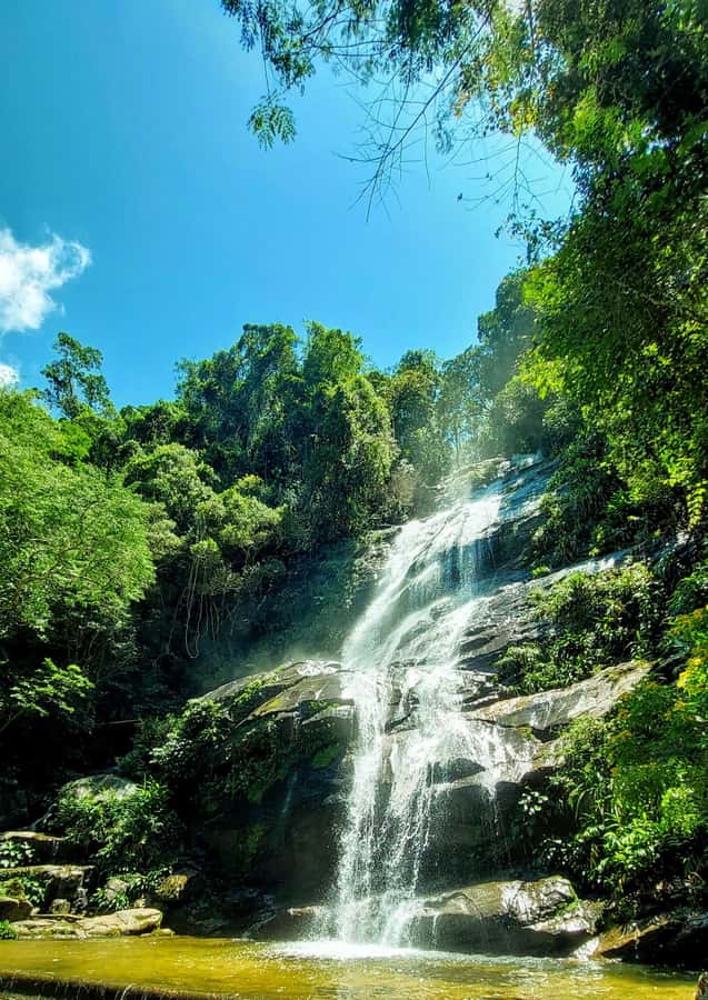 Rio de Janeiro: Tijuca Forest Challenge Hike Full-Day Trip - Waterfalls and the shower option at Cascata da Baronesa