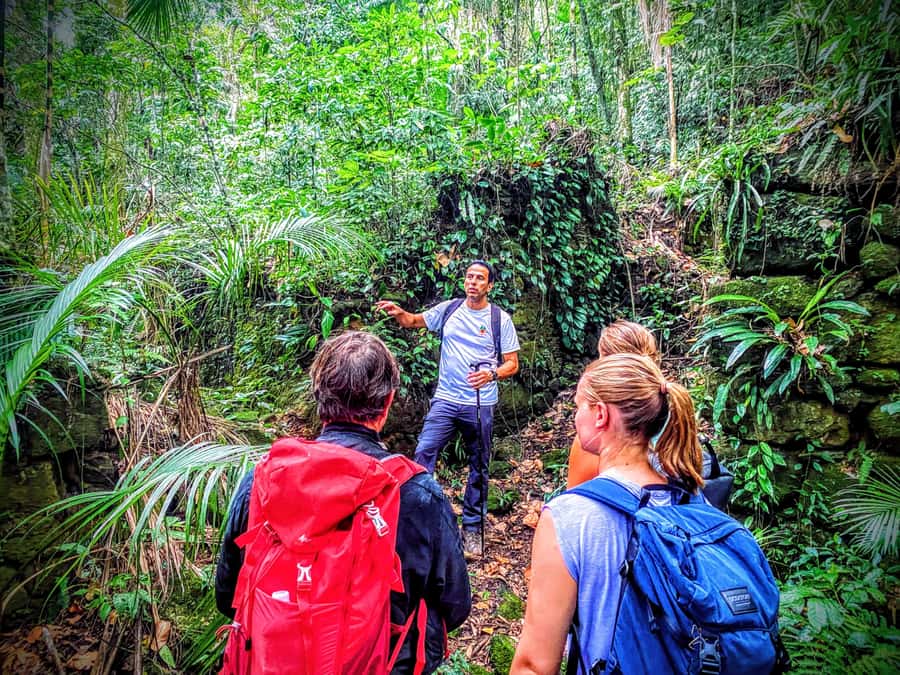 Rio de Janeiro: Tijuca Forest Challenge Hike Full-Day Trip - What the day feels like: pace, safety, and how small groups change everything