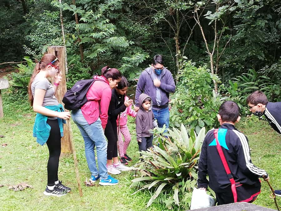 Rio de Janeiro: Tijuca Forest Waterfall of Souls Hike - Key takeaways before you go