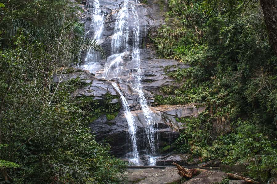 Rio de Janeiro: Tijuca Forest Waterfall of Souls Hike - Why the Tijuca Waterfall of Souls hike feels different