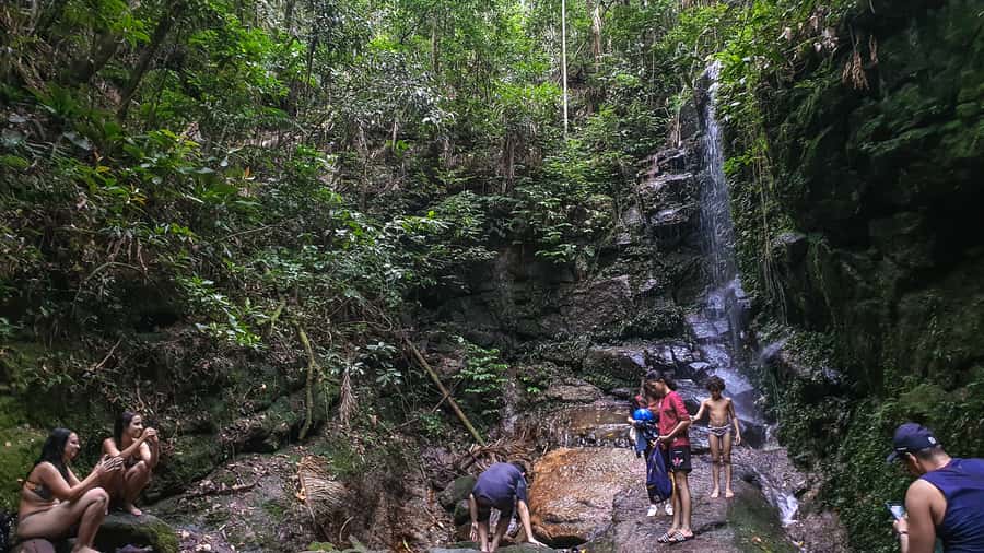 Rio de Janeiro: Tijuca Forest Waterfall of Souls Hike - Walk to the waterfalls while you meet the park in small ways
