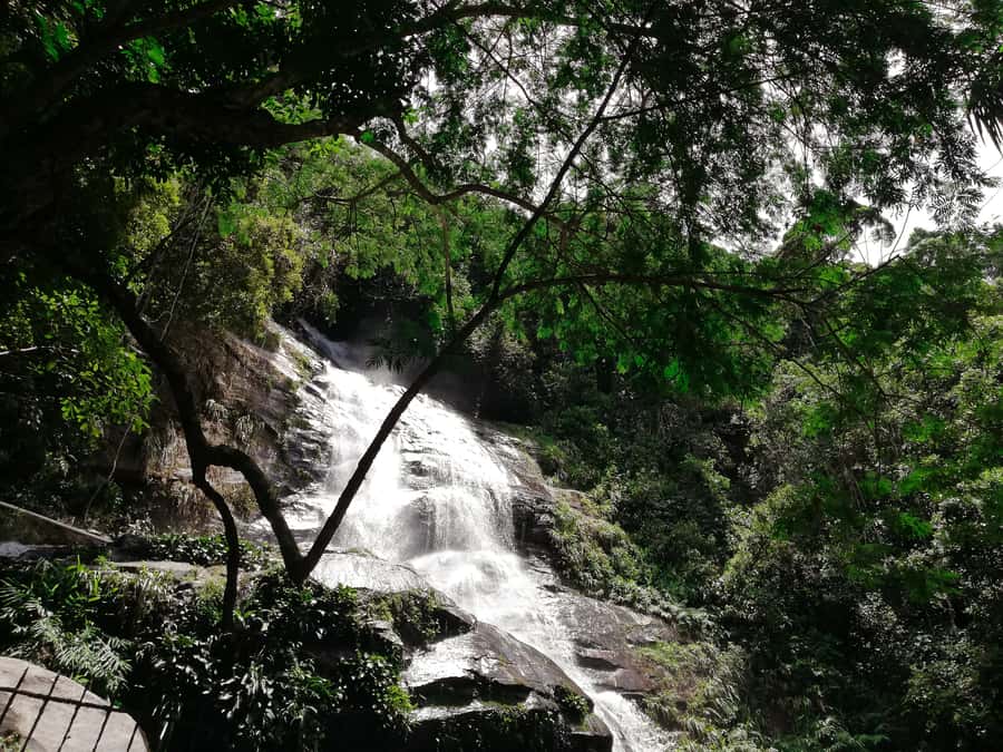 Rio de Janeiro: Tijuca Forest Waterfall of Souls Hike - Pausing at painters’ escape garden, lake, and Mayrink Chapel