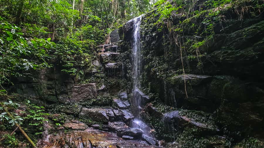 Rio de Janeiro: Tijuca Forest Waterfall of Souls Hike - Meet at Estr. da Cascatinha and get to the real trail start