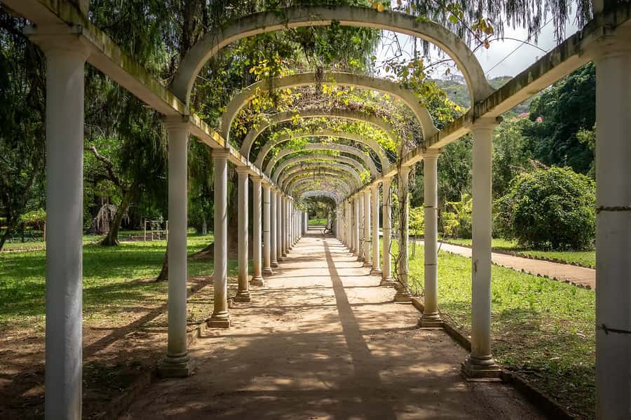 Rio de Janeiro: Tijuca National Park & Botanic Garden Tour - Key things to know before you go
