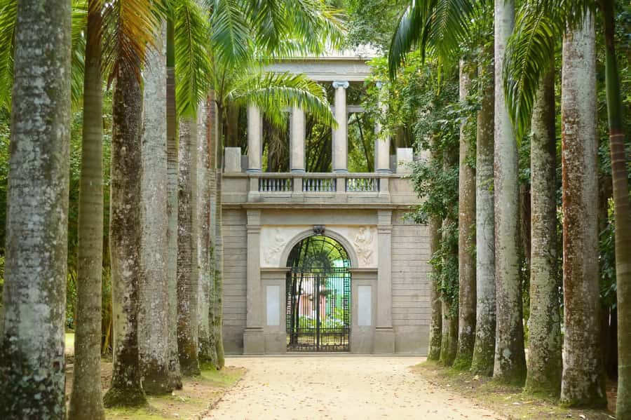 Rio de Janeiro: Tijuca National Park & Botanic Garden Tour - Tijuca National Park, built in 1861 and kept alive today
