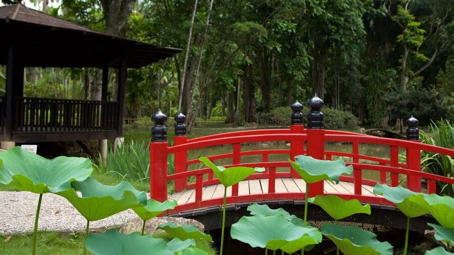 Rio de Janeiro: Tijuca National Park & Botanic Garden Tour - Weather, timing, and wildlife etiquette that actually help