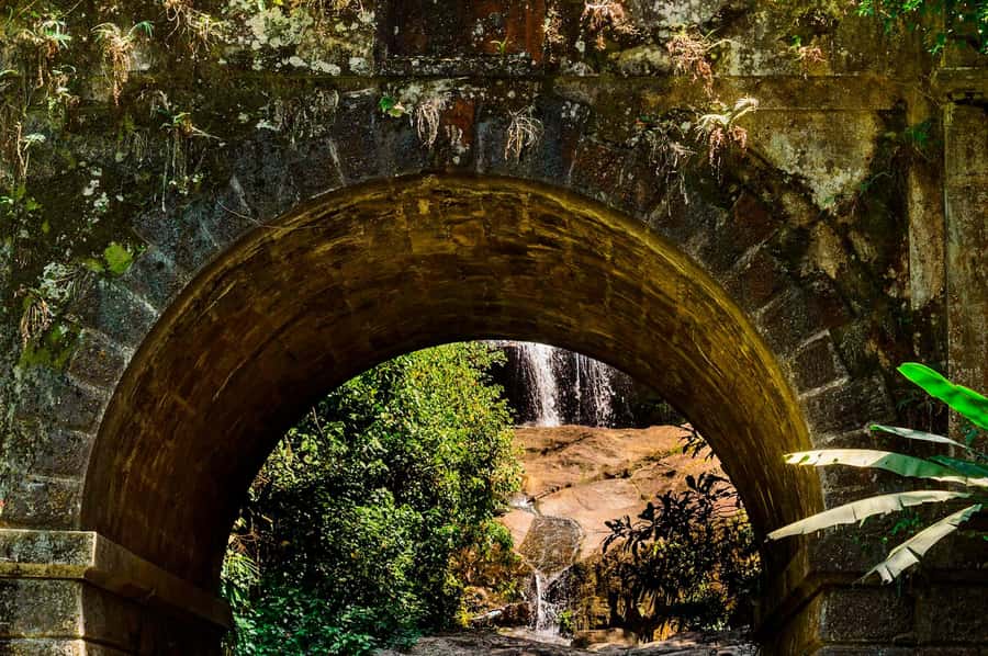 Rio de Janeiro: Tijuca National Park & Botanic Garden Tour - Who this tour fits best