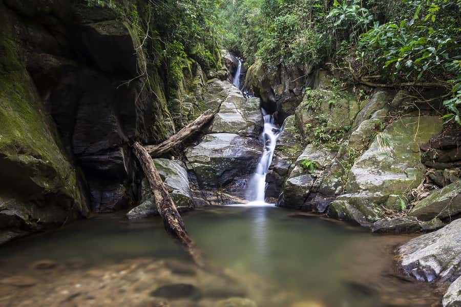 Rio de Janeiro: Tijuca National Park & Botanic Garden Tour - Hotel pickup to forest access: what the 4 hours really means