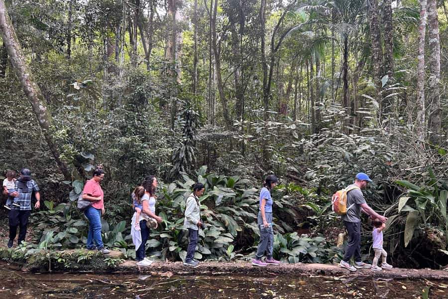 Rio de Janeiro: Tijuca National Park Tour - Key highlights to look forward to