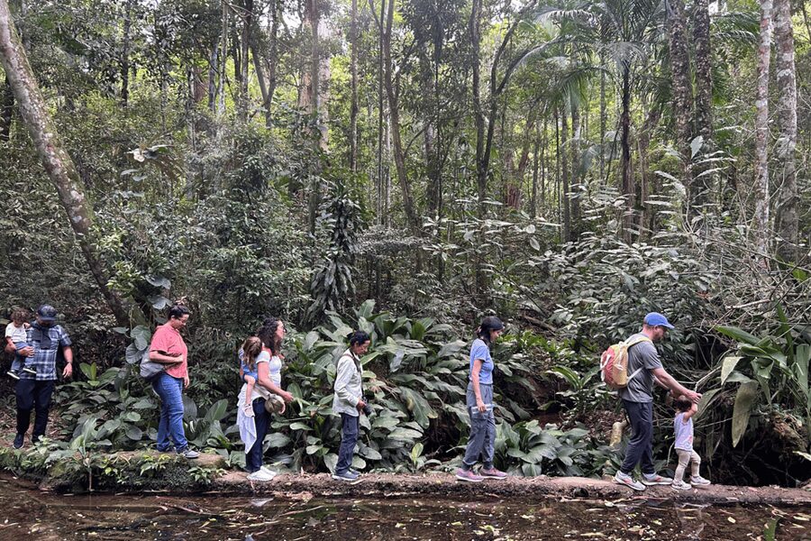 Rio de Janeiro: Tijuca National Park Tour - Gruta dos Morcegos cave stop: bats, cool air, and careful footing