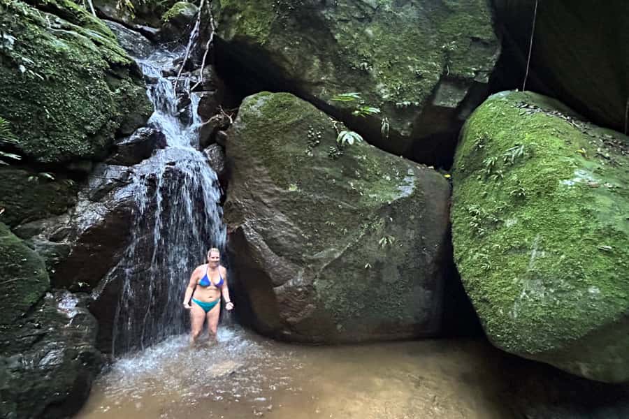 Rio de Janeiro: Tijuca National Park Tour - Wildlife moments: what guides help you notice