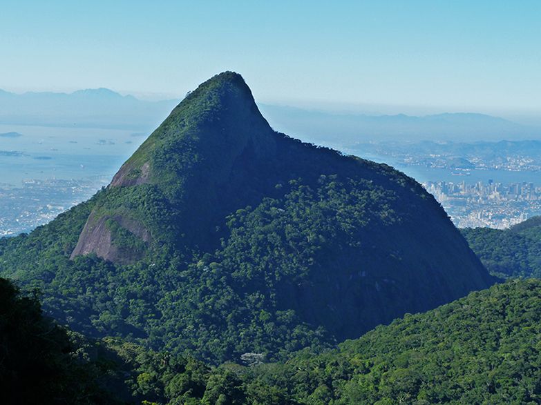 Rio de Janeiro: Tijuca Peak Guided Hike - Key Highlights You’ll Remember